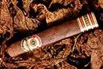 Tobacco